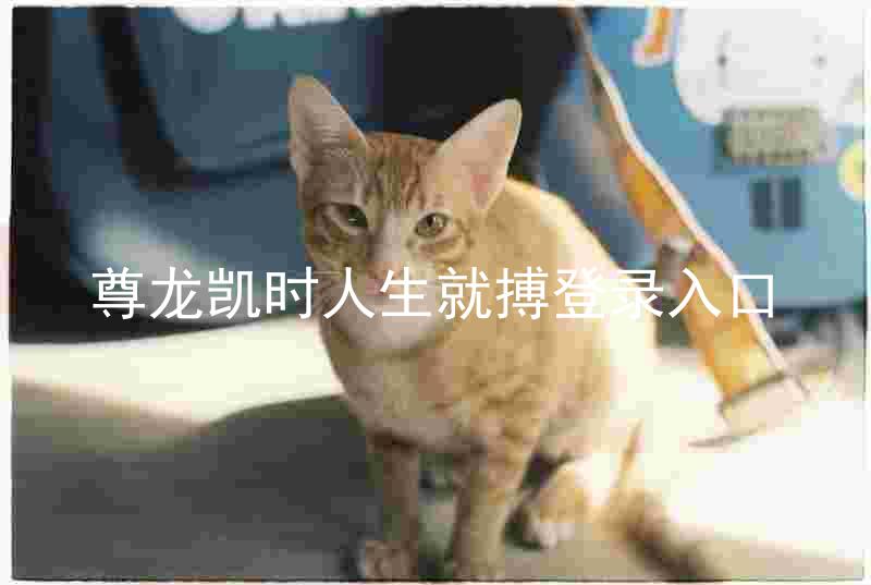尊龙凯时人生就搏登录入口