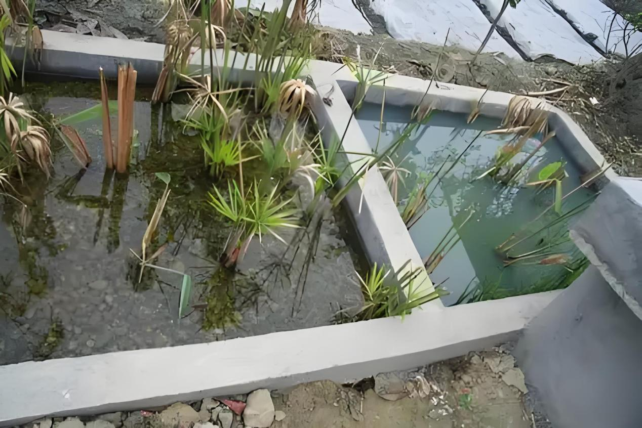 ������ʱ��(�й���)�ٷ���վ