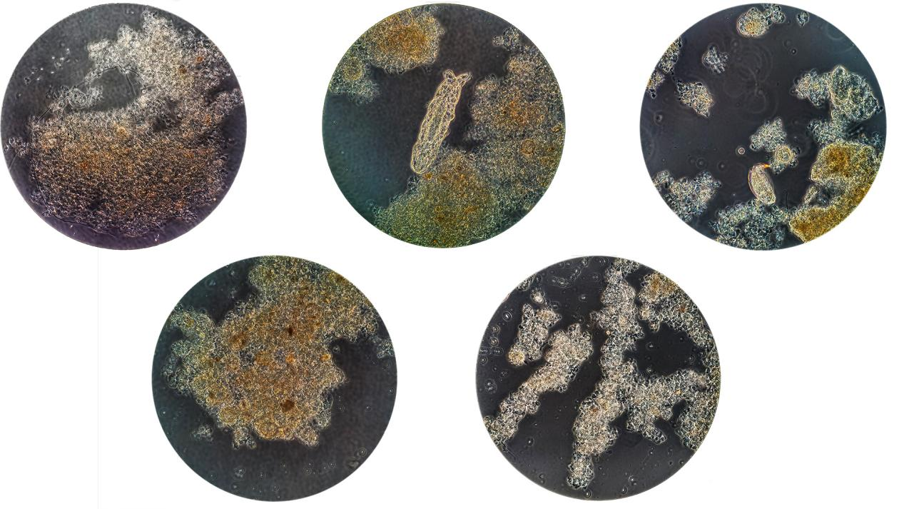 ������ʱ��(�й���)�ٷ���վ